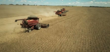 IBGE prevê safra recorde em 2025, com 341,2 milhões de toneladas