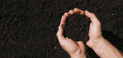 Atvos e NetZero firmam parceria para fábrica de biochar em Goiás