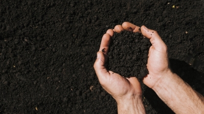 Atvos e NetZero firmam parceria para fábrica de biochar em Goiás
