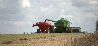 Conheça as cidades mineiras que são as maiores produtoras de cana-de-açúcar, café, batata, alho e abacate do Brasil