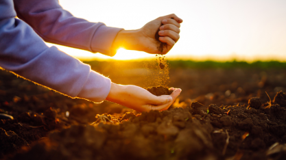 A importância de conhecer os tipos de solos do Brasil para o sucesso da sua lavoura