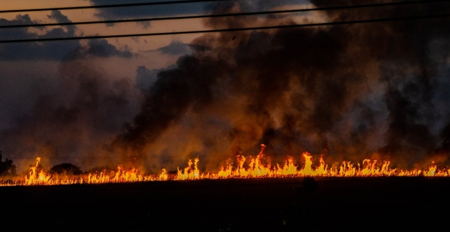 Onda de incêndios em canaviais em 2024 foi orquestrada por facção criminosa