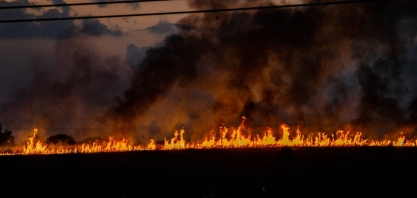 Integrantes do setor bioenergético foram coagidos para vender produtos e propriedades por valores abaixo do mercado