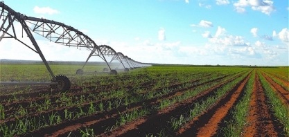 Irrigação sem mistério: guia gratuito ajuda produtores a dar o primeiro passo