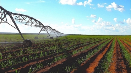 Irrigação sem mistério: guia gratuito ajuda produtores a dar o primeiro passo