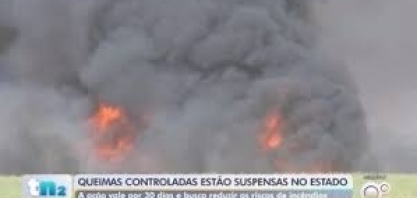 Cetesb suspende autorização para queima de cana em todo o estado de SP