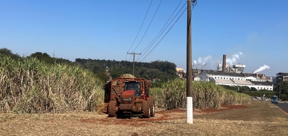 Cogen defende inclusão de térmicas a biomassas para prover energia firme, resiliente e mais limpa