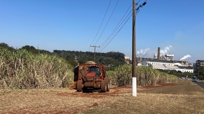 Cogen defende inclusão de térmicas a biomassas para prover energia firme, resiliente e mais limpa