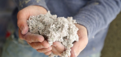 Trump corta tarifa da celulose; carne e café podem ser os próximos