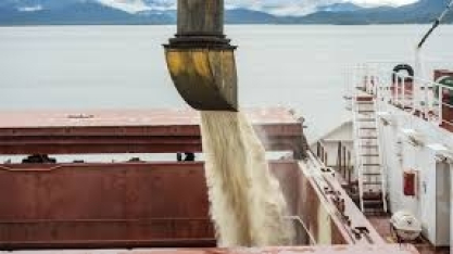 Açúcar: mercado no funil da decisão