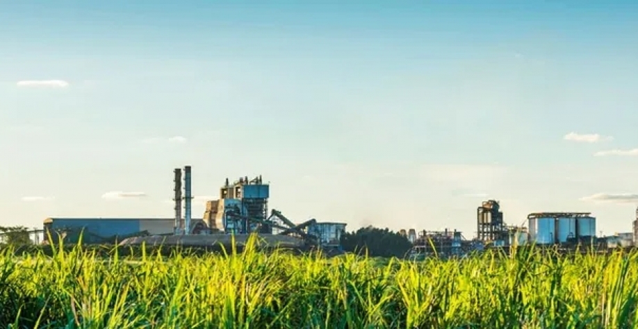 Unidade do Atvos: das oito usinas de processamento de cana-de-açúcar que a empresa tem no Centro-Sul, três ficam em Mato Grosso do Sul — Foto: Divulgação