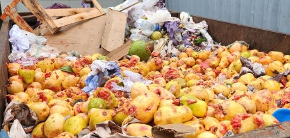 Projeto Inova Brasil utiliza resíduos orgânicos para gerar biogás e impulsiona economia circular