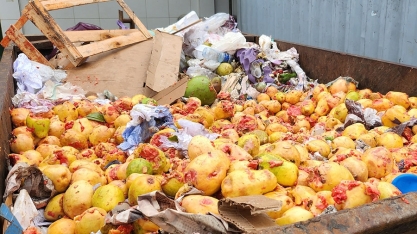 Projeto Inova Brasil utiliza resíduos orgânicos para gerar biogás e impulsiona economia circular