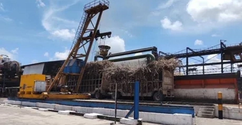 Usina Santo Antônio deve aumentar em 5% moagem de cana na safr 25/26. - Foto: Edivaldo Junior