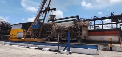 Usina Santo Antônio inicia safra 25/26 com previsão de crescimento