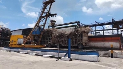 Usina Santo Antônio inicia safra 25/26 com previsão de crescimento
