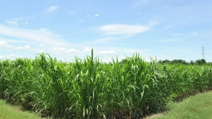 ATR de agosto tem variação de 15,7%