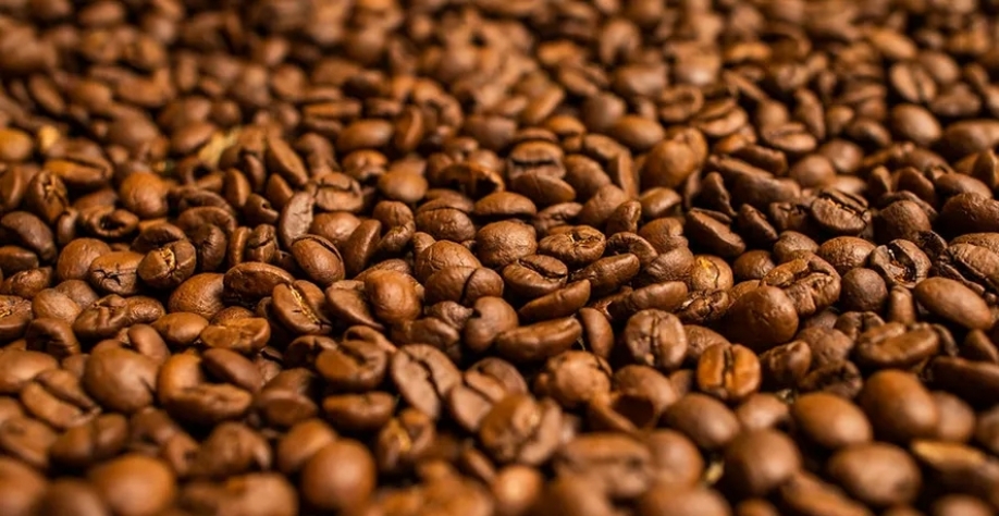 Esperança de um acordo comercial que pode aliviar as tarifas dos EUA sobre o café brasileiro deve segurar o preço da commodity — Foto: Wenderson Araujo/CNA