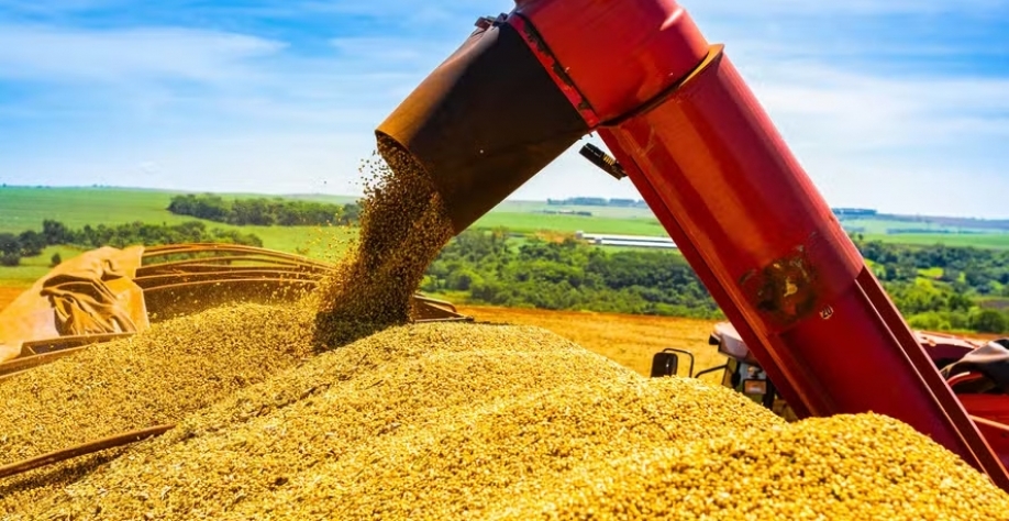 Conab estima um novo aumento para a produção de soja na safra 2025/26, que deverá chegar a 177,6 milhões de toneladas — Foto: Antônio Neto/Embrapa