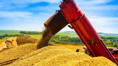 Conab projeta novo recorde na safra 2025/26: 353,8 milhões de toneladas de grãos
