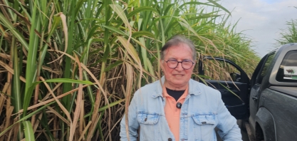 Cana regenerada na fazenda de Edilson Maia, no décimo corte, produz mais de 90 toneladas por hectare