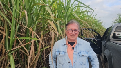 Cana regenerada na fazenda de Edilson Maia, no décimo corte, produz mais de 90 toneladas por hectare