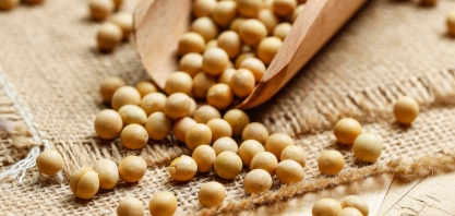 Brasil se prepara para nova safra de grãos recorde em 2025/26, projeta Conab