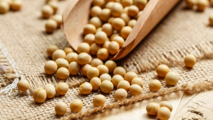 Brasil se prepara para nova safra de grãos recorde em 2025/26, projeta Conab