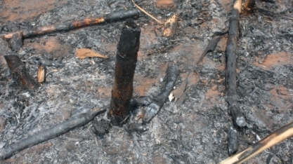 Reino Rural Franchising aposta em inovação no combate às queimadas no campo