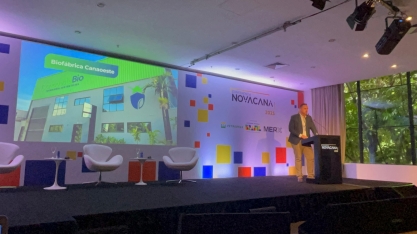 Coletividade como pilar do futuro sustentável da produção de cana-de-açúcar