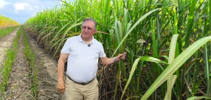 Fazenda Santo Antônio revoluciona o cultivo de cana com plantio direto em Alagoas