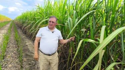 Fazenda Santo Antônio revoluciona o cultivo de cana com plantio direto em Alagoas