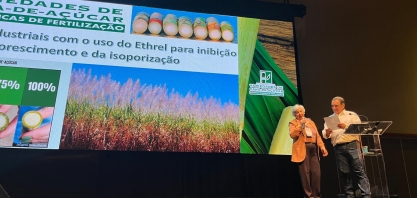 Uso de regulador de crescimento mostra ganhos na qualidade da cana e na eficiência industrial
