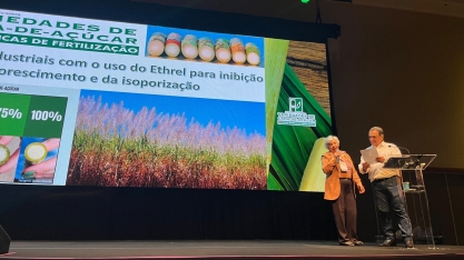 Uso de regulador de crescimento mostra ganhos na qualidade da cana e na eficiência industrial