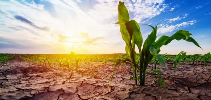 Sem chuva, MS prorroga emergência ambiental até novembro