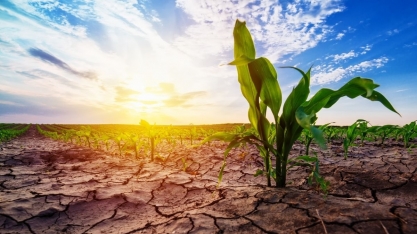 Sem chuva, MS prorroga emergência ambiental até novembro