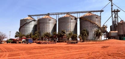 NetZero investe R$ 15 milhões em fábrica de biochar a partir da cana no Brasil