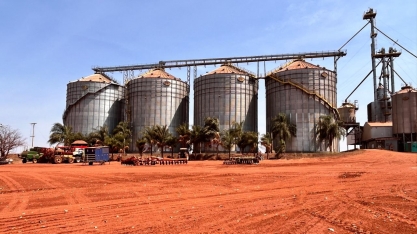 NetZero investe R$ 15 milhões em fábrica de biochar a partir da cana no Brasil
