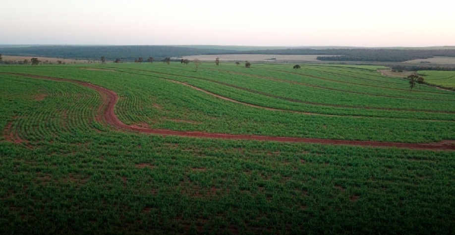 Foto: do site Adecoagro