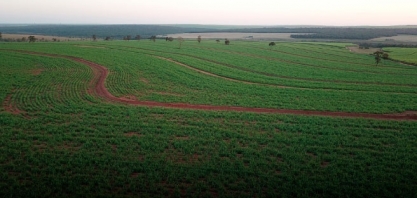 Fertilizantes: Adecoagro anuncia compra de 50% da maior produtora de ureia da América do Sul