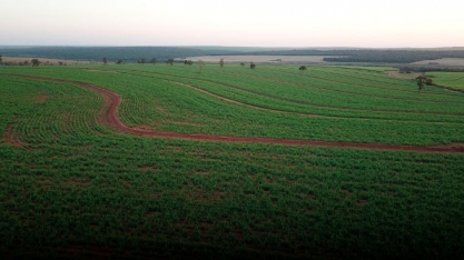 Fertilizantes: Adecoagro anuncia compra de 50% da maior produtora de ureia da América do Sul