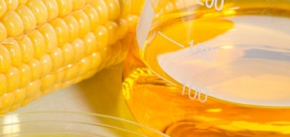 Biocombustível de milho impulsiona produção e expande fronteiras agrícolas com melhoramento genético