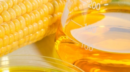 Biocombustível de milho impulsiona produção e expande fronteiras agrícolas com melhoramento genético