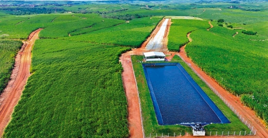 Decisão de investir em irrigação transformou a Usina Olho D'Água, garantindo a viabilidade do negócio - Foto: Divulgação