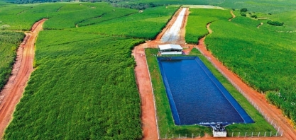 Usina Olho D'Água: pioneirismo e produtividade