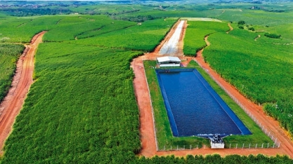 Usina Olho D'Água: pioneirismo e produtividade