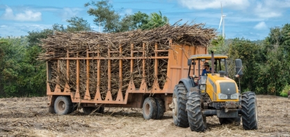Produtores de cana-de-açúcar da Paraíba estão preocupados com baixo preço pago pela tonelada da matéria-prima