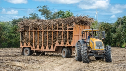 Produtores de cana-de-açúcar da Paraíba estão preocupados com baixo preço pago pela tonelada da matéria-prima