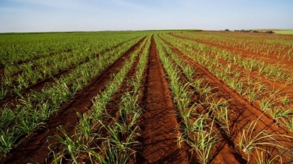 Certificações sustentáveis: quais as vantagens e como obter selos verdes para sua produção?