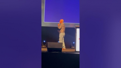 Pragas discretas, danos profundos: pulgões, saúvas e lagarta-elásmo desafiam a produção de cana